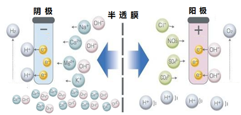 碳基脱硝
